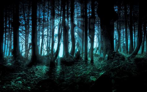Nature Landscape Forest Dark Digital Art Wallpapers Hd Desktop