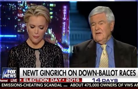 Newt Gingrich Tells Megyn Kelly Shes ‘fascinated With Sex For Calling