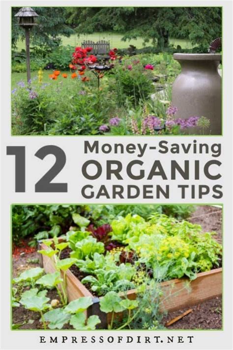 12 Smart Tips For Starting A Budget Friendly Organic Garden Organic