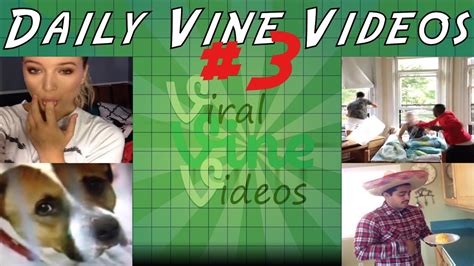 Daily Vines Compilation 3 Best Of Vine Youtube
