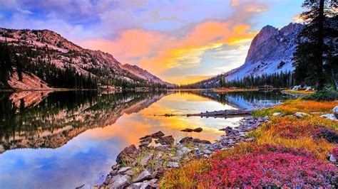 River Between Green Trees Covered Mountains Colorful Flowers Reflection