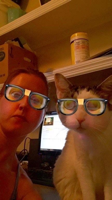 22 Cats That Have Mastered The Snapchat Filter Game I Can Has