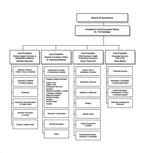 FREE Sample Hospital Organizational Chart Templates In PDF Google Docs MS Word Pages