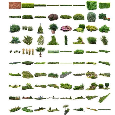 Cutout Plants V03 Cutout Vegetation For Architecture
