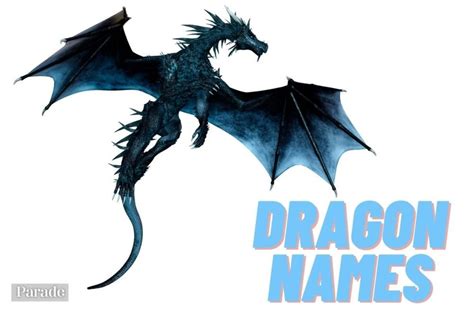 200 Best Dragon Names And Their Cool Meanings Parade