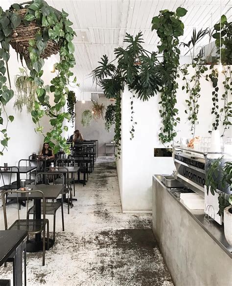 Um dos restaurantes mais fotogênicos do mundo. café plants | Cafe interior design, Cafe plants, Cafe decor