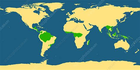 Tropical Rainforest World Map Map Vectorcampus Map