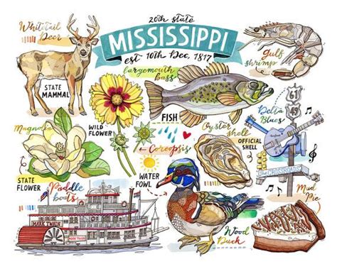 Mississippi Print State Symbols Illustration Home Decor Etsy State