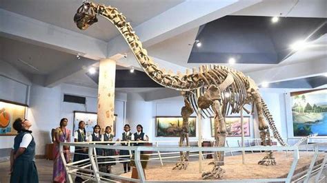 Meghalaya 100 Million Year Old Bones Of Sauropod Dinosaurs Discovered