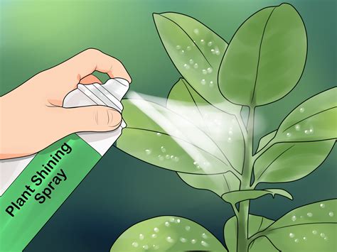 Easy Ways To Clean Plant Leaves 8 Steps With Pictures Wikihow