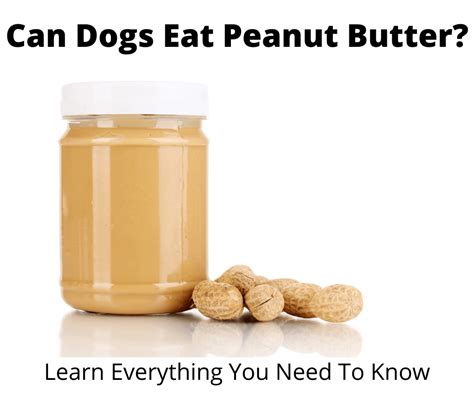 Can Dogs Eat Peanut Butter Food Safety Guide 2021 Edition
