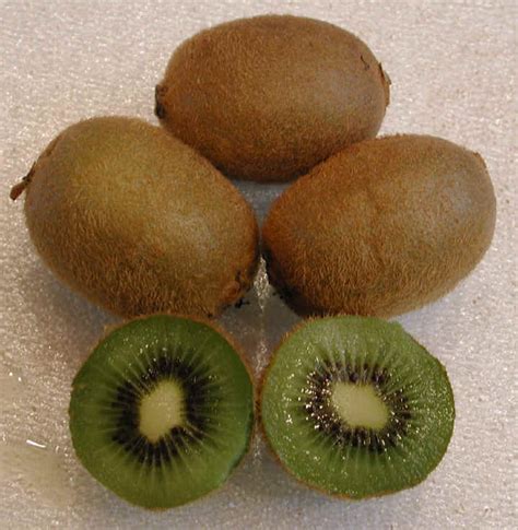 Golden kiwifruit, developed by the hybrid technique by the agricultural research department in new zealand, has a smooth, sparse hairs, bronze skin. Kiwi - Ingredients Descriptions and Photos - An All ...