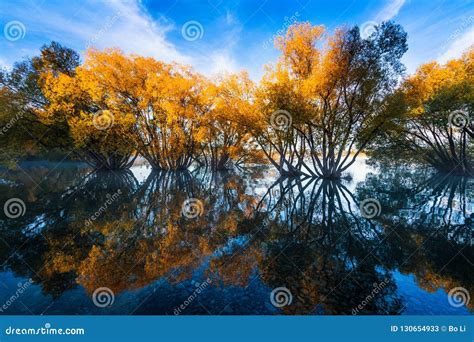 The Scene Of The Autumn Of Lake Tekapo Stock Image Image Of