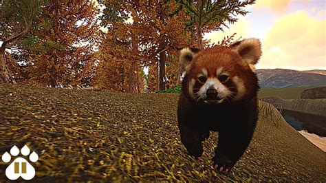🐻‍ ️ Red Panda Habitat Franchise Mode Planet Zoo Ep 4 Youtube