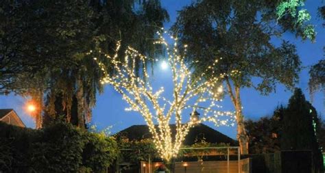 Bei baumärkten und discountern gibt es. Weihnachtsbeleuchtung