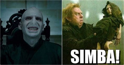 Harry Potter: 10 Hilarious Voldemort Memes Devoted Fans ...