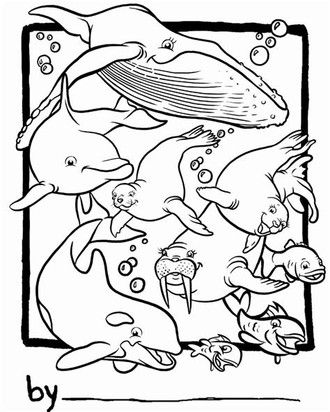 Ocean Animal Habitat Coloring Pages Coloring Pages
