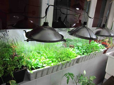 Maybe you would like to learn more about one of these? DIY indoor greenhouse