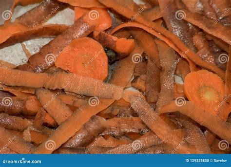 Moist Carrot Skins Scum In The Sink Stock Photo Image Of Carrot