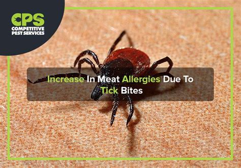 Increase In Meat Allergies Due To Tick Bites Competitive Pest Services