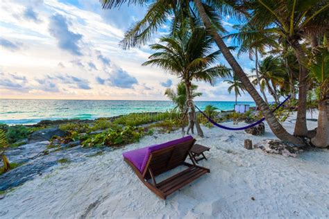Sunset At Paradise Beach Chairs Under The Palm Trees On Beach At