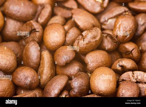 Roasted Coffee Beans Closeup Background Stock Photo Alamy