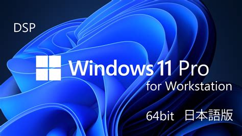 Dsp版 Windows 11 Pro For Workstation 64bit 日本語版 1pk Dvd ※バンドル対象品とのセット販売
