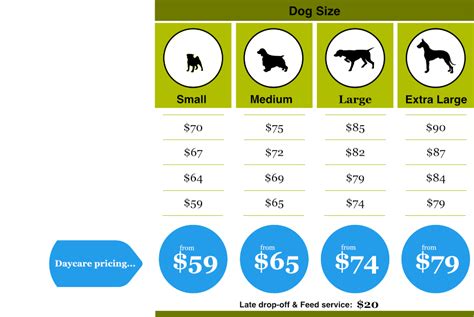 How Much Does Dog Day Care Cost Pricing And Rates