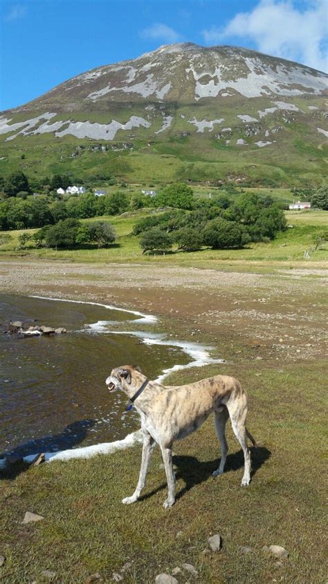 Poisoned Glen Mt Errigal Donegal With Images Natural Landmarks