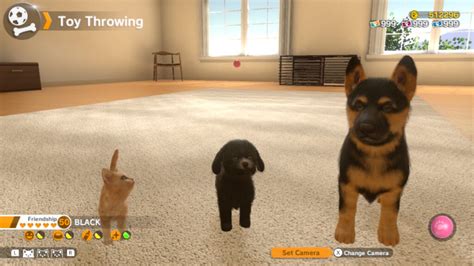 The Best Games For Animal Lovers And Anyone Who Wants To Pet The Dog