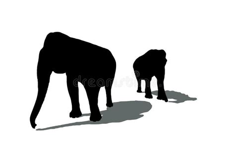 Silhouettes Of Two Elephants Stock Illustration Illustration Of