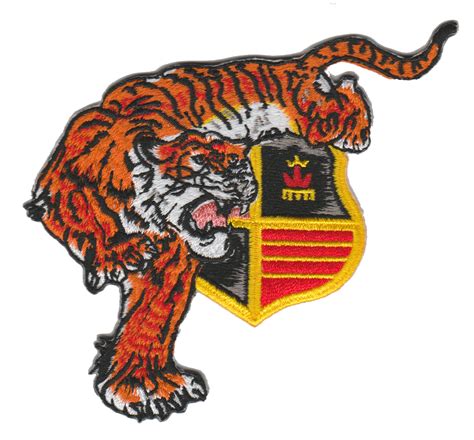 Vmfa Aw 224 Fighting Bengals Patch Custom