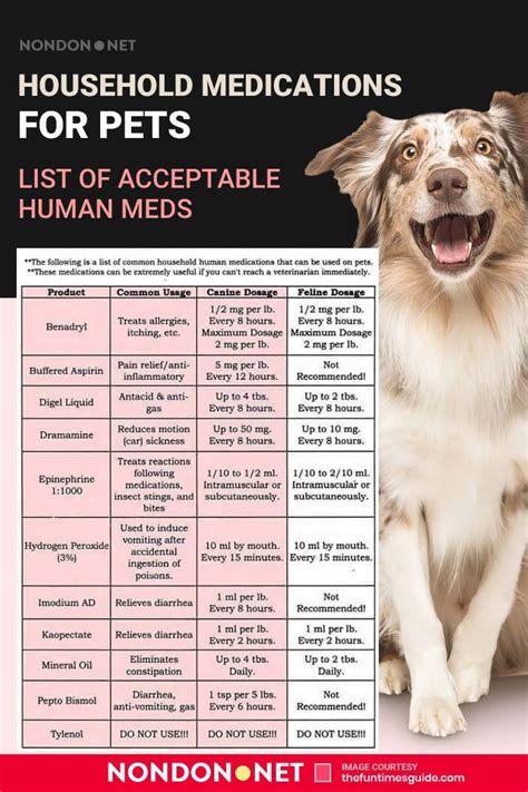 Household Medications For Pets List Of Acceptable Human Meds In 2020