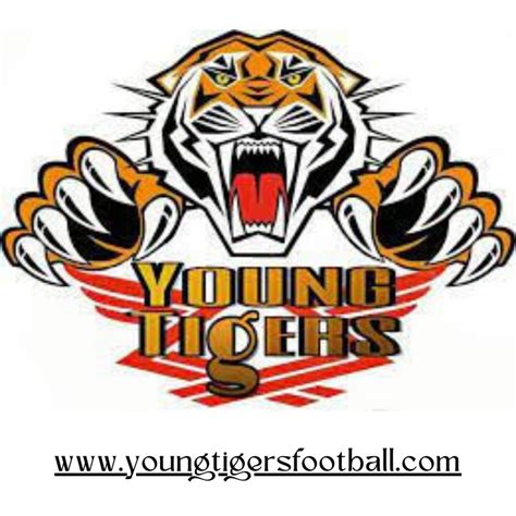 2022 Young Tigers Football And Cheer Sign Ups Click For Details