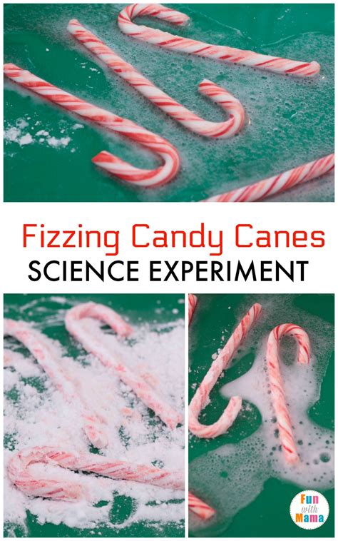 Take some scissors, a shopping bag and some gardening gloves, put on the warm boots & coats and head off for some holly collecting at a woods or hedgerow near you. Fizzing Christmas Science Baking Soda Experiments - Fun ...