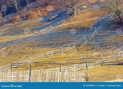 Wooden Fences On The Meadow Stock Image Image Of Farm Grassy 161090213