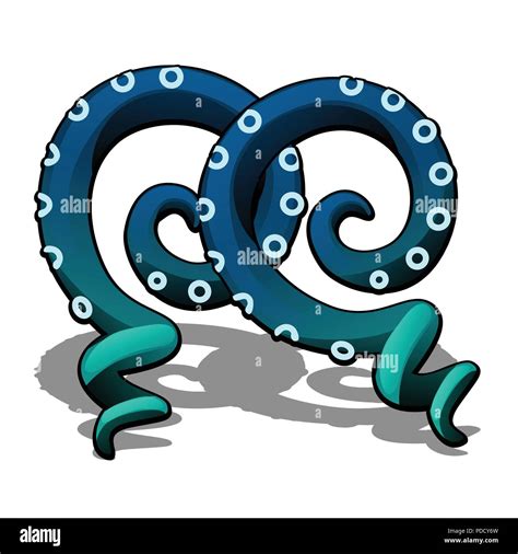 Arm Of A Squid Stock Vector Images Alamy