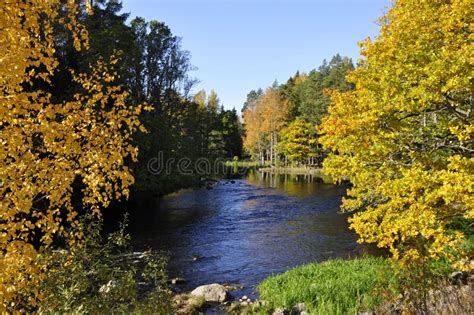 River In Autumn Stock Photo Image Of Landscape Shore 11741626