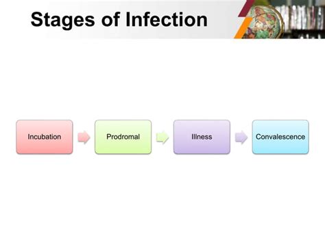 Health Stages Of Infection Causes Of Morbiditypptx Free Download