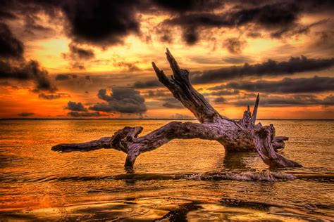 Sunset At Jekyll Island Sunset At Driftwood Beach At Jekyl Flickr