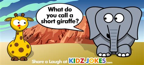 Silly Giraffe Jokes Best Image Giraffe In The Word