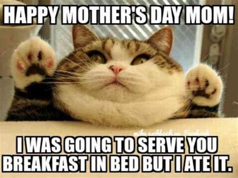 40 Funny Mothers Day Memes Jokes And One Liners For 2020