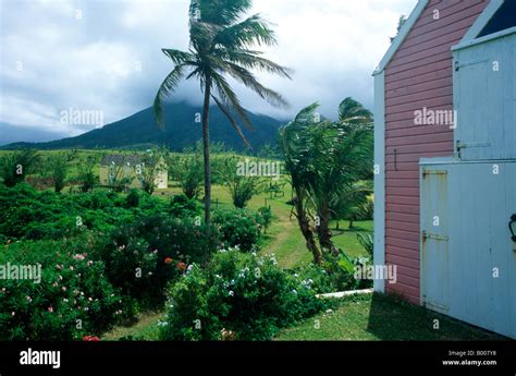 Rawlins Plantation St Kitts Barn Wind Blowing Palm Trees Stock Photo