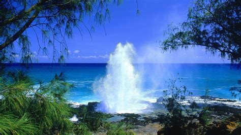 Free Hawaii Desktop Backgrounds Wallpaper Cave