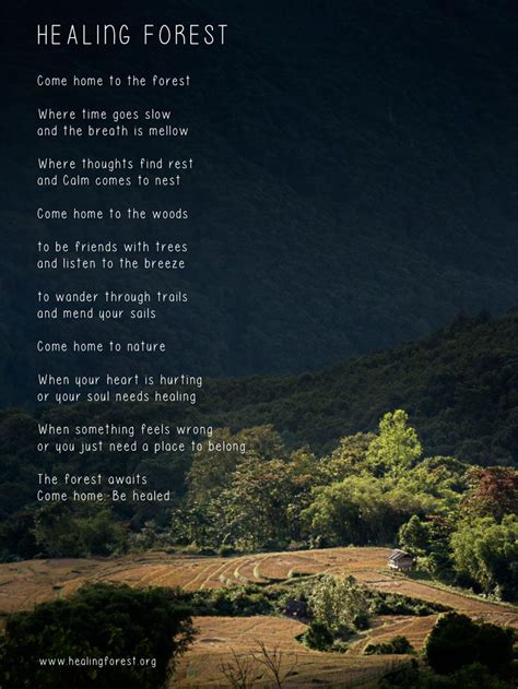 A Poem From The Woods Outdoors Nature Sky Weather Hiking Camping