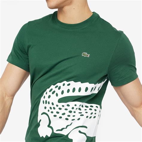 Buy Lacoste Oversized Croc T Shirt In Stock