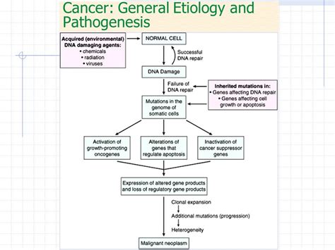 Cancer Etiology Pathophysiology Types Diagnosis And Treatment