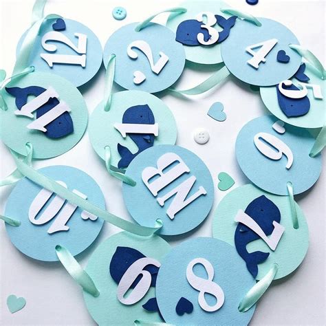 Whale 12 Month Photo Banner Nautical 1st Birthday Decorations Etsy