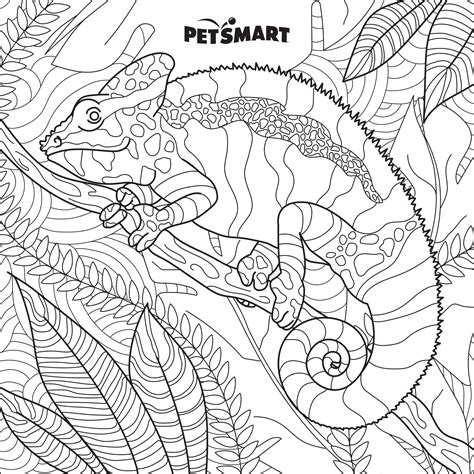 Coloring Sheets Download And Print Education Grants