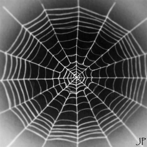 Should We Really Fear Spider Webs At Halloween Bwscience